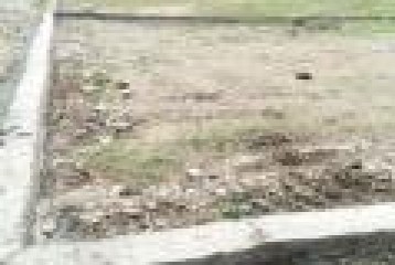 350 Square Yard Plots For Sale At Selaqui Atak Farm, THDC Colony,Dehradun.